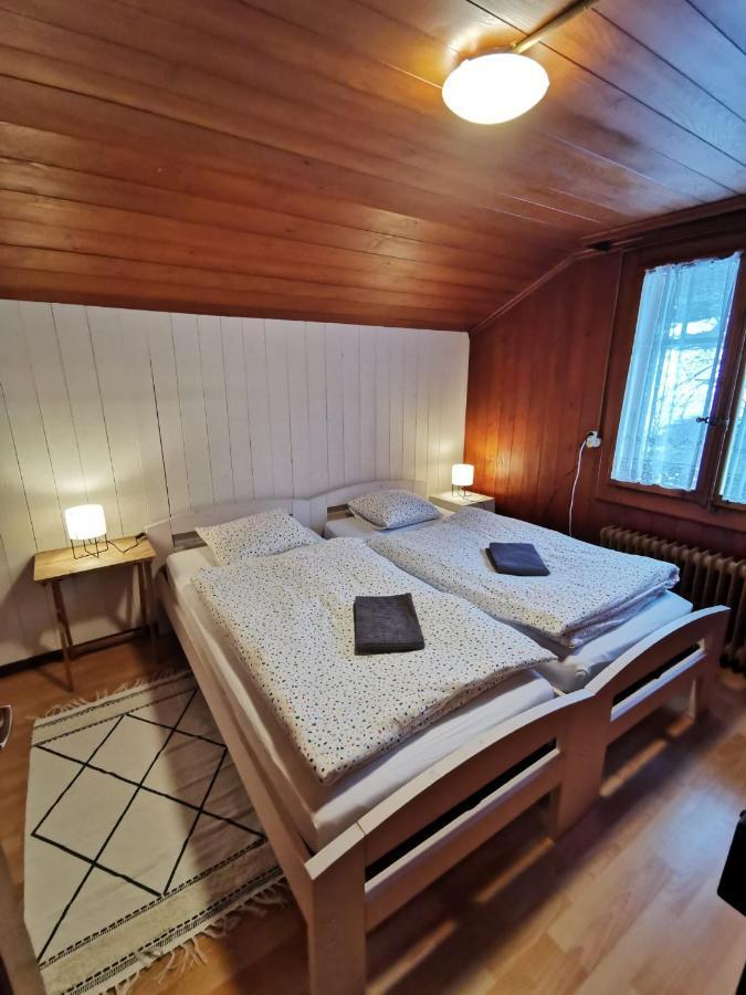 Chalet Edelweiss Зигрисвиль Экстерьер фото