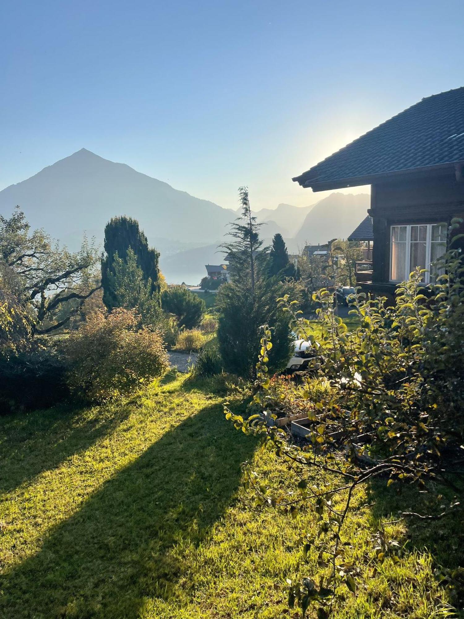 Chalet Edelweiss Зигрисвиль Экстерьер фото